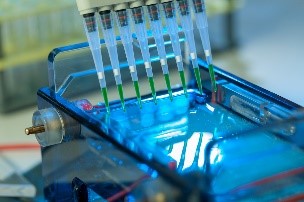 OLED Materials