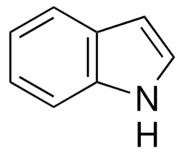 1H-Benzo[b]pyrrole