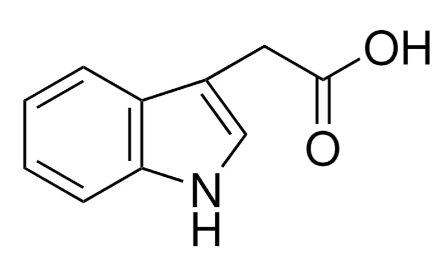 IAA, Heteroauxin