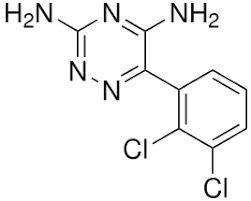 Lamotrigine, 6-(2,3-Dichlorophenyl)-1,2,4-triazine-3,5-diamine, GI 267119X