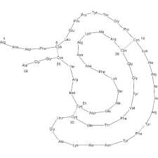 BPTI, Bovine pancreatic trypsin inhibitor, Trasylol