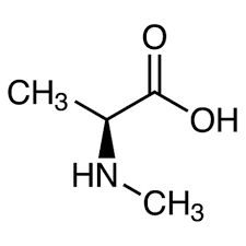 (2S)-2-(methylamino)propanoic acid;N-alpha-Methyl-L-alanine;(S)-2-(MethylaMino)propanoic acid