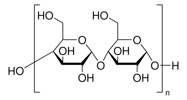 Soluble Starch