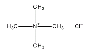 TMA