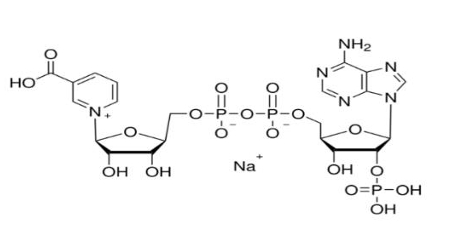 Triphosphopyridine nucleotide sodium salt hydrate