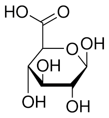 D-Glucuronic acid, Glucosiduronic acid