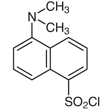 Dansyl Chloride, 5-(Dimethylamino)-napthalene-1-sulfonyl Chloride