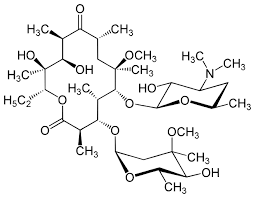 CLM