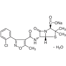Cloxacillin Sodium