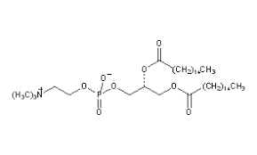 1,2-Dipalmitoyl-sn-glycero-3-phosphocholine