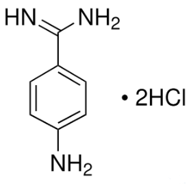 p-Aminobenzimidamide dihydrochloride