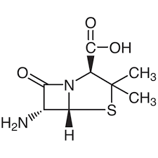 (+)-6-Aminopenicillanic acid, (2S,5R,6R)-6-Amino-3,3-dimethyl-7-oxo-4-thia-1-azabicyclo[3.2.0]heptane-2-carboxylic acid, 6-APA