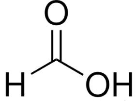 Formic acid, Methanoic Acid,Aminic Acid, Aminic Acid