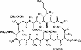 Antibiotic S 7481F1, Cyclosporine