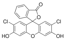 DCF, Dichlorofluorescein