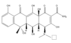 (4S,4aR,5S,5aR,6S,12aS)-4-(dimethylamino)-1,4,4a,5,5a,6,11,12a-octahydro-3,5,6,10,12,12a-hexahydroxy-6-methyl-1,11-dioxo-2-naphthacene carboxamide.
