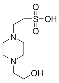 4-(2-Hydroxyethyl)piperazine-1-ethanesulfonic acid, N-(2-Hydroxyethyl)piperazine-Nα(2-ethanesulfonic acid)