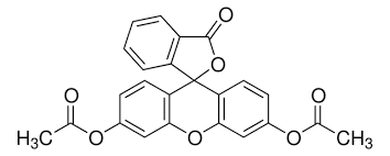 Fluorescein diacetate