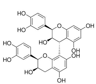 Proanthocyanidin B2