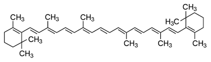 Beta-Carotene