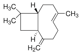 Beta-Caryophyllene