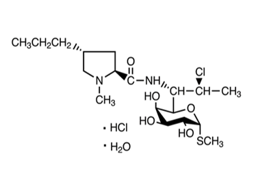 Clindamycin hydrochloride monohydrate, (7S)-7-Chloro-7-deoxylincomycin hydrochloride monohydrate