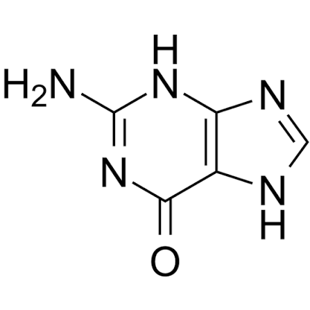 2-Amino-1,7-dihydro-6H-purin-6-one, 2-Amino-6-hydroxypurine, 2-Aminohypoxanthine