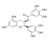 (?)-Epigallocatechin gallate, (?)-cis-2-(3,4,5-Trihydroxyphenyl)-3,4-dihydro-1(2H)-benzopyran-3,5,7-triol 3-gallate, (?)-cis-3,3?,4?,5,5?,7-Hexahydroxy-flavane-3-gallate, EGCG