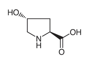 (2S,4R)-4-Hydroxypyrrolidine-2-carboxylic acid, Hyp