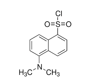 5-(Dimethylamino)naphthalene-1-sulfonyl chloride, DNSCl