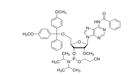 DMT-2αO-Me-rA(bz) amidite, N-benzoyl-5αO-[bis(4-methoxyphenyl)phenylmethyl]-2αO-methyl-adenosine, 3α[2-cyanoethyl N,N-bis(1-methylethyl)phosphoramidite]