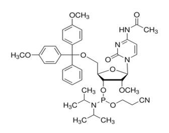 N-acetyl-5αO-[bis(4-methoxyphenyl)phenylmethyl]-2αO-methyl-cytidine, 3α[2-cyanoethyl N,N-bis(1-methylethyl)phosphoramidite]