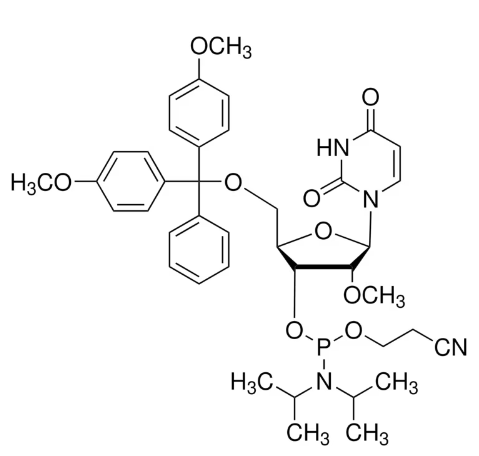 5αO-[bis(4-methoxyphenyl)phenylmethyl]-2αO-methyl-uridine, 3α[2-cyanoethyl N,N-bis(1-methylethyl)phosphoramidite], DMT-2?O-Methyl-rU amidite
