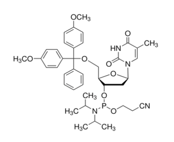 5αO-(4,4αdimethoxytrityl)-2αdeoxythymidine-3αO-[O-(2-cyanoethyl)-N,Nαdiisopropylphosphoramidite], 5αO-[bis(4-methoxyphenyl)phenylmethyl]-2αdeoxythymidine, 3α[2-cyanoethyl N,N-bis(1-methylethyl)phosphoramidite], DMT-dT amidite, Thymidine, 5αO-[bis
