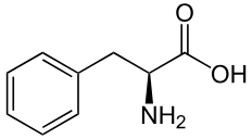 L-Phenyl Alanine