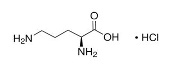 (S)-2,5-Diaminopentanoic acid monohydrochloride