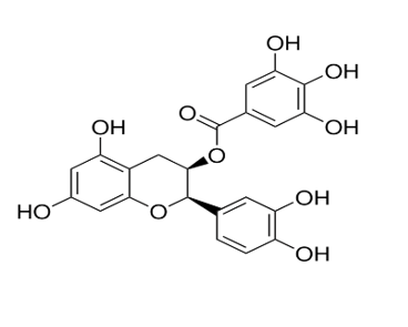 (-)-cis-3,3',4',5,7-Pentahydroxyflavane 3-Gallate