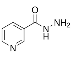 Nicotinic acid hydrazide